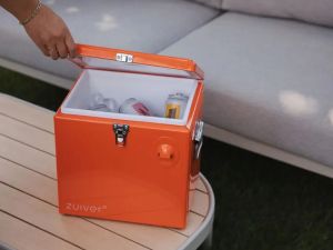 Kühlbox - Cooler für frühlingshafte Picknick Tage oder Grillparties