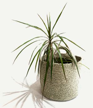 Jute Topf Large mit Henkel