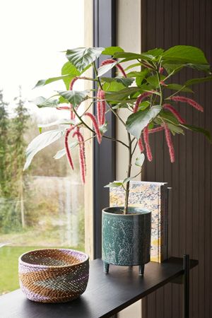 Blumentopf aus Keramik mit gesprenkelter grüner Glasur