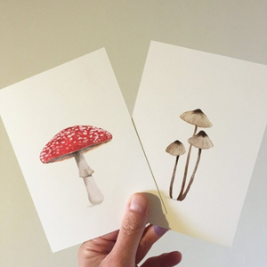 Postkarten mit Pilzmotiven