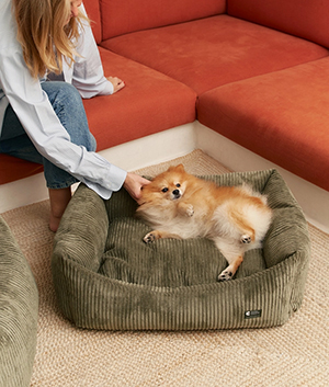 Hundebett in Cord